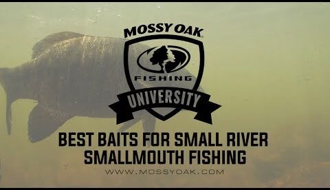 Best Baits for Small River Smallmouth Bass Fishing