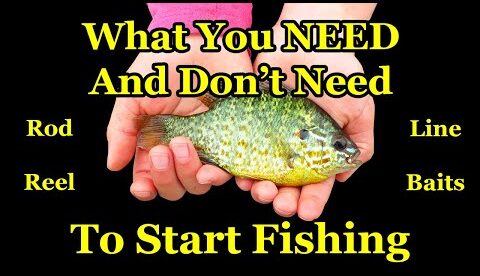 Beginners' Guide to Fishing Gear - How to Start Fishing With a Rod and Reel