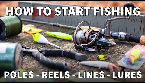 Fishing 101: The Basics You Need to Start Fishing Today!