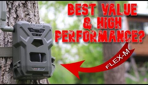 Spypoint FLEX-M Cellular Trail Camera: Best Value $79.99 Dual-Sim 28MP GPS Field Test Review