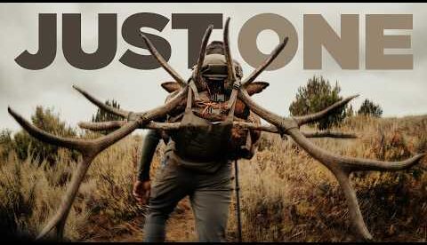 One Pack for Any Hunt | Eberlestock Just One Overview